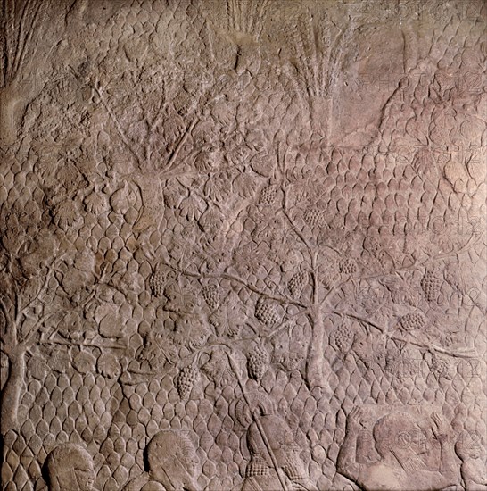 A detail of a relief showing a procession of prisoners after the siege of Lachish