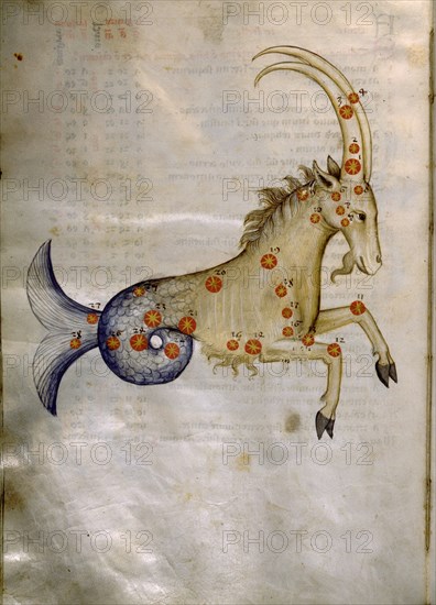 Illustration from a copy of Al Sufis The Book of Fixed Stars