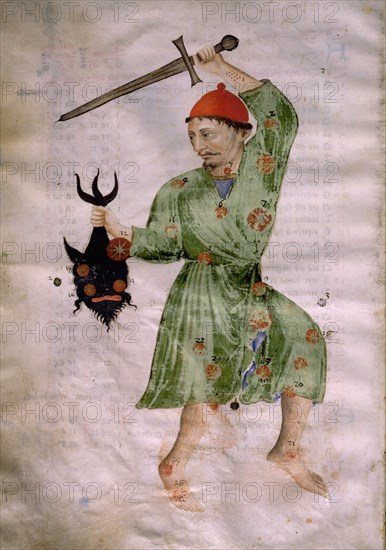 Illustration from a copy of Al Sufis The Book of Fixed Stars