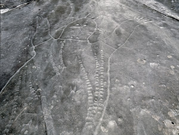 Petroglyph incised in the rock at an aboriginal sacred site