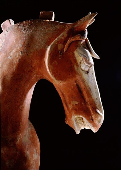 Buff pottery stallion (detail)