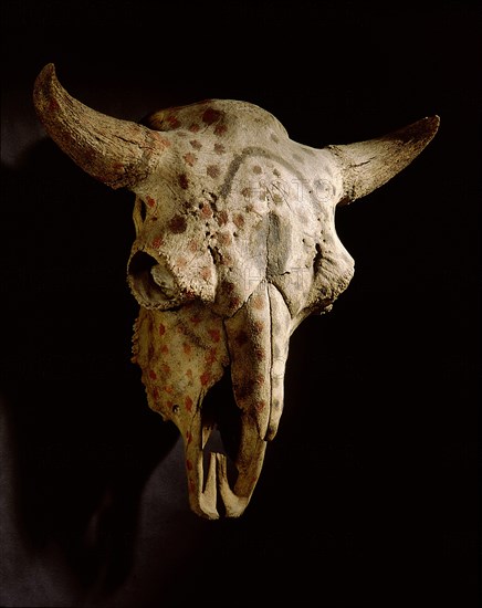 Painted buffalo skull