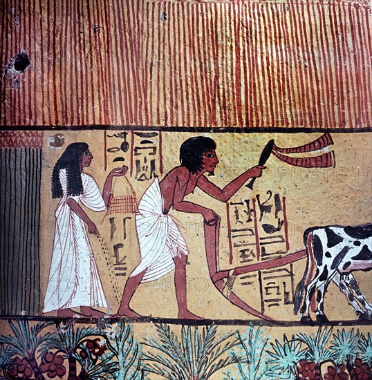 A detail of a painting on stucco in the tomb of Sennedjem showing the tomb owner ploughing and his wife seeding flax or wheat in the mythical fields of Iaru