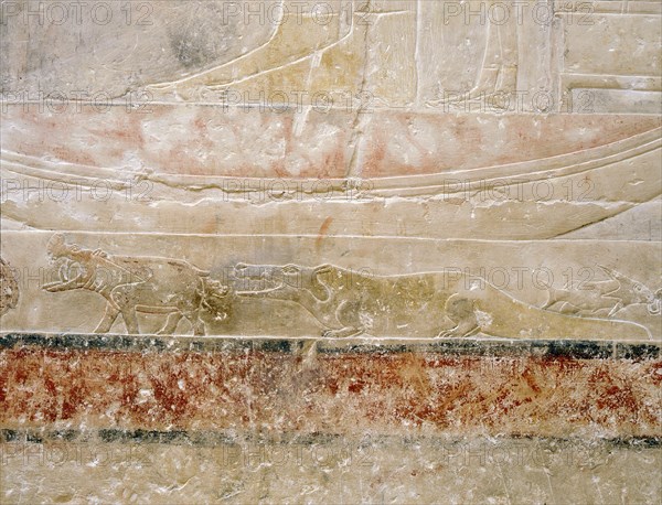 A detail of the hippopotamus hunt relief in the tomb of Princess Sesh seshet Idut at Saqqara