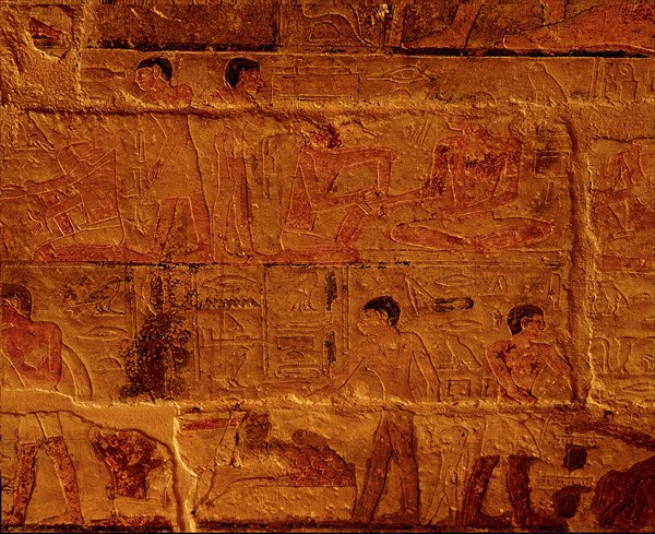 Reliefs in the tomb of Ankhmahor at Saqqara