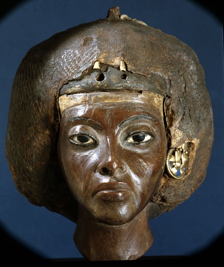 The head of Queen Tiye, wife of Amenophis III and mother of Akhenaten