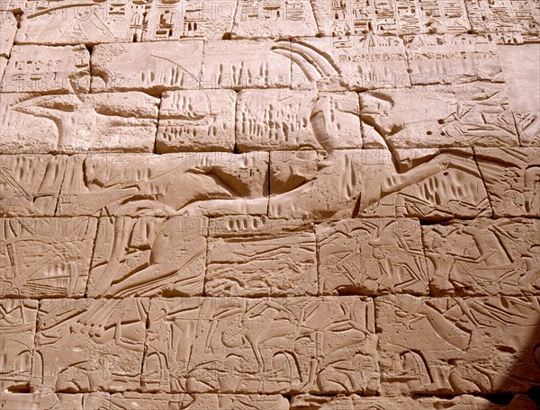 Battle scene relief with Ramesses III in his chariot fighting the Libyans, from his mortuary temple
