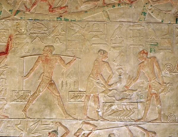 A relief from the tomb of the vizier Ptah hotep at Saqqara