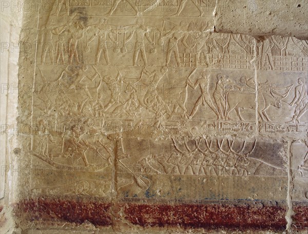 A scene in relief in the tomb of the vizier Mereruka