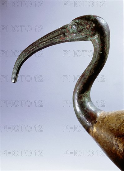 Copper alloy Ibis head