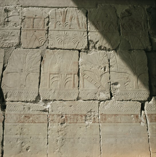 A relief from the temple of Queen Hatshepsut at Deir el Bahri depicting the maritime expedition which Hatshepsut sent via the Red Sea to Punt in c