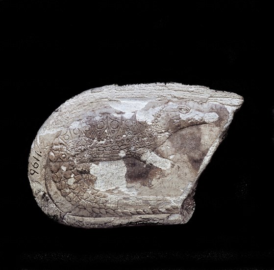 Fragment of throwstick shaped ivory wand, with representation of a crocodile