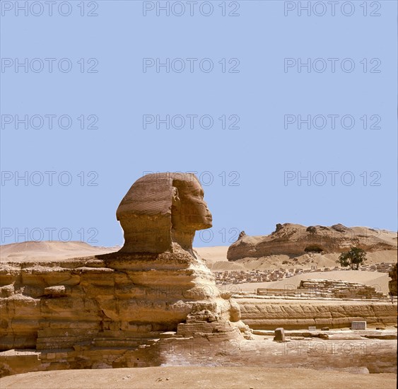 The Giza Sphinx