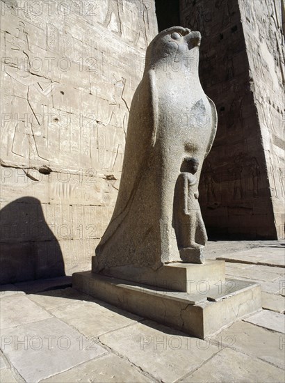 The colossal statue of the god Horus at the entrance to the Temple of Horus, Edfu