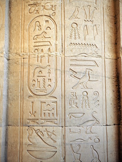 Temple reliefs and inscriptions at Kom Ombo