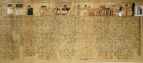 The Book of the Dead of Nebqed illustrates the Egyptian beliefs in the afterlife