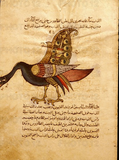 Miniature from a Mamluk copy of the Automata of al Jaziri or the Book of Knowledge of Mechanical Devices