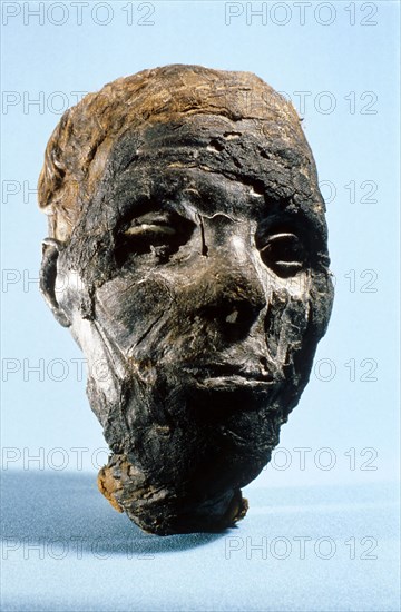 Head and neck of mummy of a 50 60 year old male