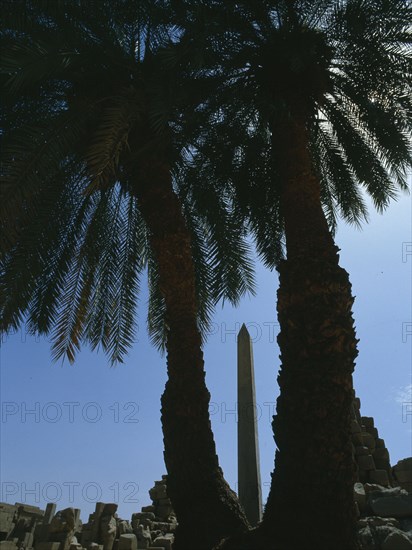 View of the north, still standing obelisk of Hatshepsut