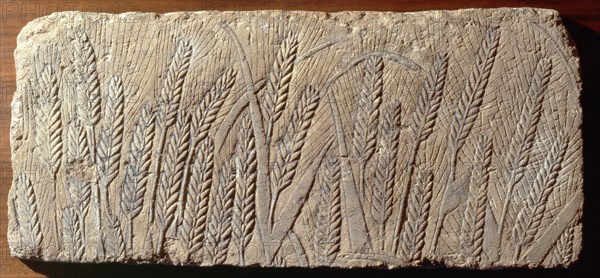 Relief carving showing wheat
