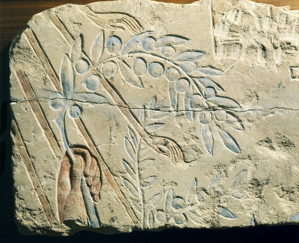 Fragment of a relief