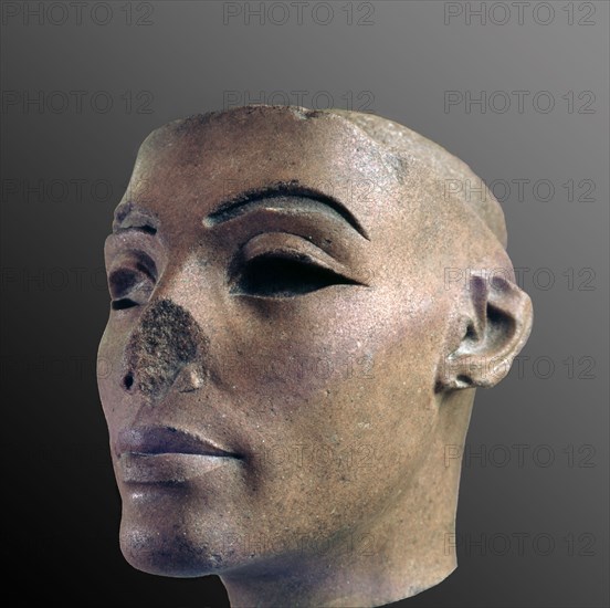 The head of Smenkh Ka Ra, sometimes thought to be Nefertiti