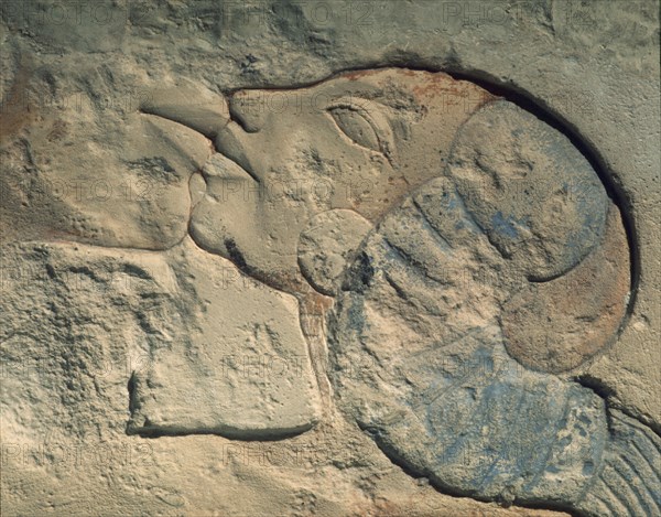 Detail of relief showing Nefertiti kissing her daughter, perhaps Merytaten, under the rays of the Aten