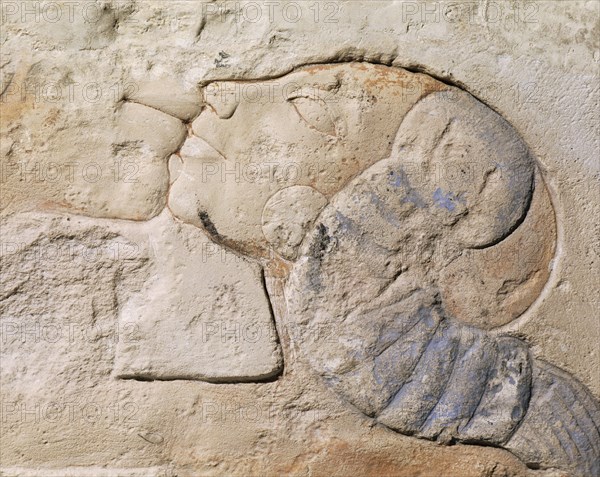 A detail of a relief showing Nefertiti kissing her daughter, perhaps Merytaten, under the rays of the Aten