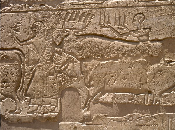 Relief from a processional colonnade of Ramses II in his temple at Luxor, showing part of procession with offerings at the annual festival of Opet