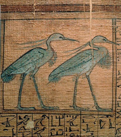 A vignette from the Book of the Dead of Neferrenpet