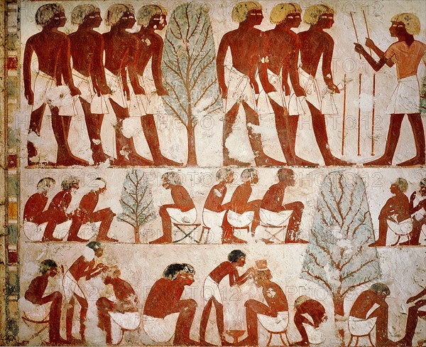 A detail of a painting in the tomb of Userhet, Royal Scribe of Amenophis II