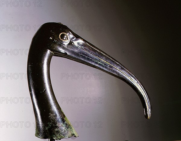 Copper alloy Ibis head