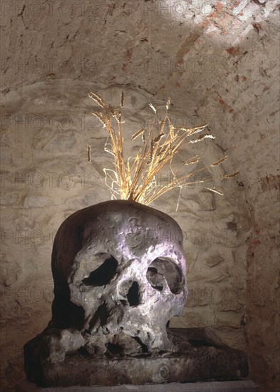 Stone skull from the Count Frantisek Antonin Sporks spa at Kuks