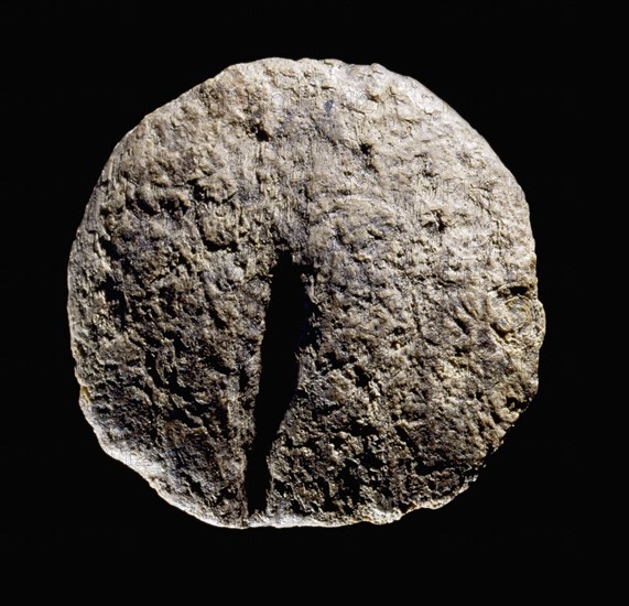 Mammoth tusk cut into coin like segment found in a Paleolithic tomb of a male, thought to represent a moon vulva disc