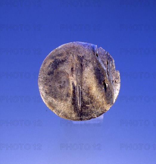 Mammoth tusk cut into coin like segment found in a Paleolithic tomb of a male, thought to represent a moon vulva disc
