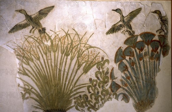 Wall painting of ducks flying out of a thicket