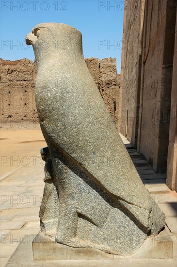 One of the two giant black granite falcons, the sacred bird of Horus, which flank the Pylon entrance to the Court of Offerings