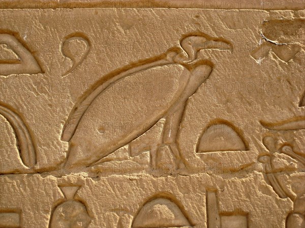 Hieroglyphic image of a vulture, a manifestation of the goddesses Mut and Nekhbet and often a representation of kingship