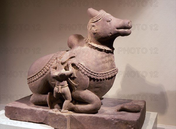 Free standing statue of Nandi, the bull mount of Shiva, with attendant tying a garland around his neck