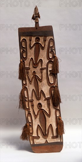 Asmat shield