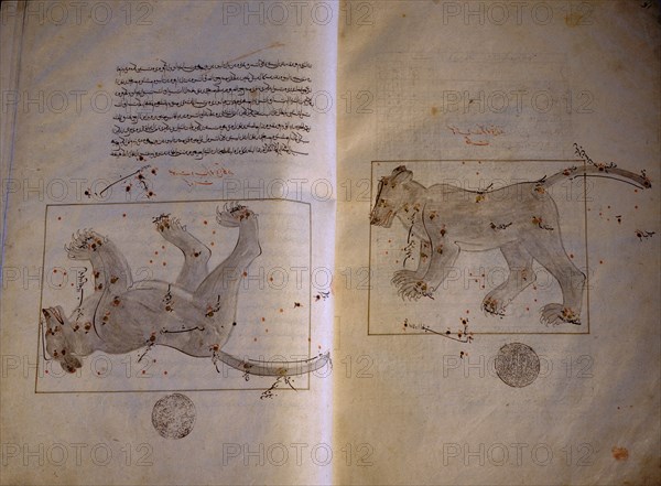 Illustration from a copy of The Book of Fixed Stars, written originally by the great Muslim astronomer Adb al Rahman Umar al Sufi