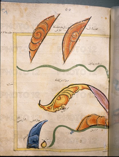 Map of Egypt by the Muslim cartographer al Idrisi, showing the Nile, the desert and dunes