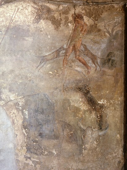 Detail of the fresco from the main hall of Livias villa at Prima Porta, outside Rome