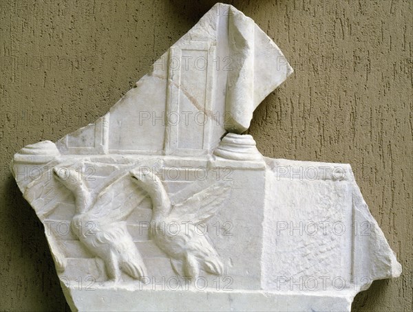 The sacred geese in front of the temple of Juno Moneta, Capitoline Hill