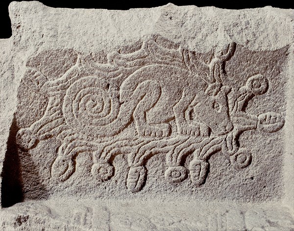 Stone box which once contained the ashes of the Great Speaker, Ahuitzotl, represented on the inside of the box by the water beast, Ahuitzotl, surrounded by water