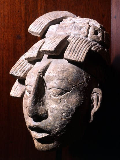 Stucco head