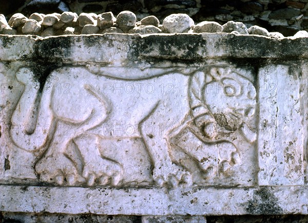 View of a bas relief Jaguar forming part of the enclosing decorative frieze on the northern side of the Pyramid of Quetzalcoatl