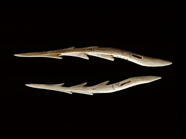 Ivory points which were probably attached to the heads of bird spears