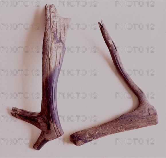 Notched rasping sticks were frequently used by shamans during their rituals to contact the spirits of animals