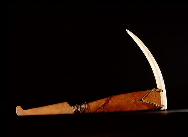 Pick made from a walrus tusk point lashed to a wooden handle